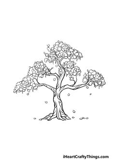 a drawing of a tree with lots of leaves