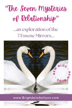 two swans making heart shapes with the words, the seven mysteriouss of relationship an explanation of the 7 essene mirrors