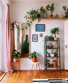 a living room filled with lots of plants