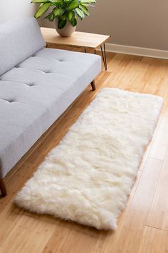 a living room with a gray couch and white rug on the wooden floor next to a plant