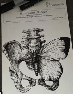 a drawing of a butterfly on top of a piece of paper