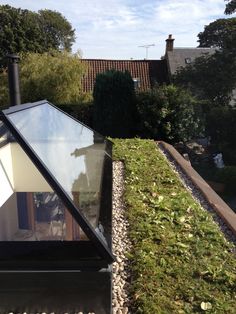 the roof of a house with grass growing on it's side and an open window