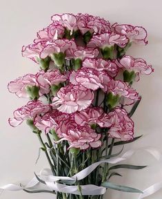 pink carnations with white ribbons tied around them