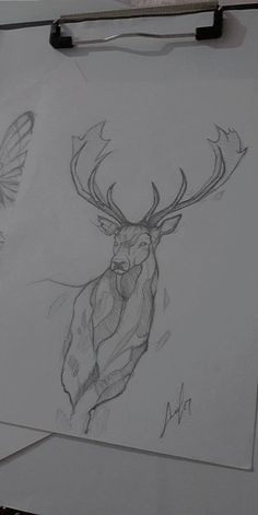 two drawings of deer and butterfly on white paper