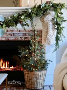 a christmas tree in a basket next to a fire place with stockings on the mantel