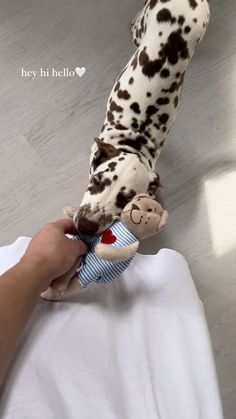 a person holding a stuffed animal in their right hand and touching it with the other hand