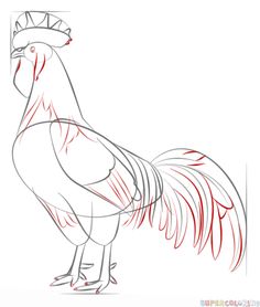 how to draw a rooster step by step