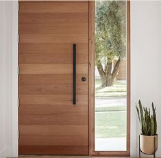 a wooden door with a plant in front of it