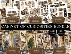 the cabinet of curioities bundle is full of pictures and text, including an image of