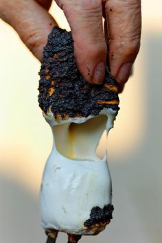 a person holding an object in their left hand with dirt on the outside and inside