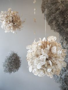 some white flowers hanging from a ceiling in a room with other decorations on the wall