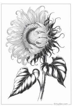 Detailed black and white illustration of a sunflower with textured leaves.