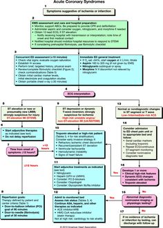 a flow diagram showing the steps in which people are able to perform an organ procedure