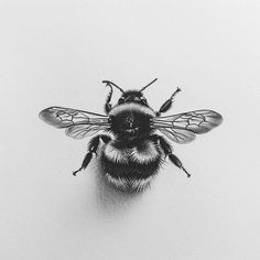 Vibrant Bumble Bee Tattoo Master Files Open Wing Bee Tattoo, Black And White Bumble Bee Tattoo, Men’s Bee Tattoo, Fuzzy Bee Tattoo, Bumble Bee Tattoo Design, Honeybee Tattoo, Bumblebee Tattoo, Tattoo Bee, Firefly Tattoo