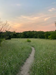 a dirt path in the middle of a field with wildflowers and trees on either side