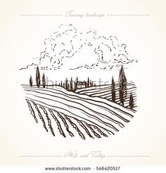 the landscape with trees and fields on a white background, drawn by hand in ink