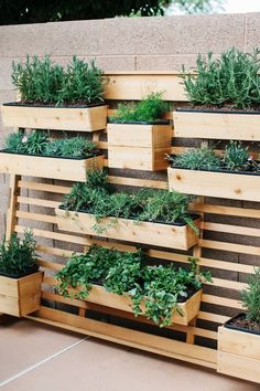 several wooden planters with plants growing on them