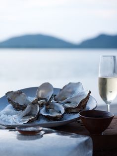 oysters and wine on a table by the water