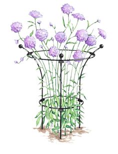 a painting of purple flowers in a black iron planter with green leaves and stems