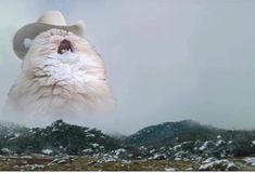 an animal with a hat on it's head is in the air above snow covered mountains