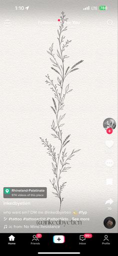 an image of a plant that is on the app for whatsappple?