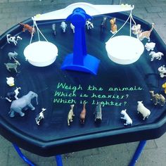 a table topped with lots of toy animals on top of a blue tray next to a sidewalk