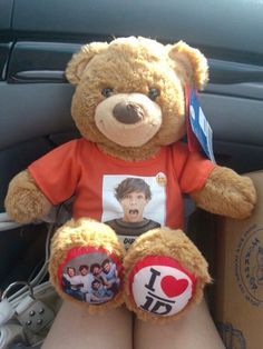 a teddy bear sitting in the back seat of a car with pictures on it's chest