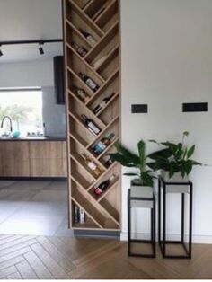 two vases with plants in them are next to a book shelf