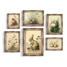 four framed pictures with animals and flowers on them