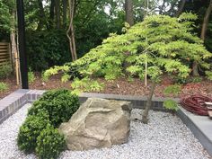 a rock in the middle of a graveled area with trees and bushes around it