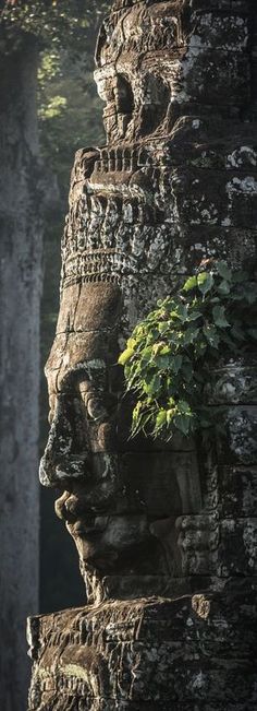 a stone statue with a plant growing out of it's face in the jungle