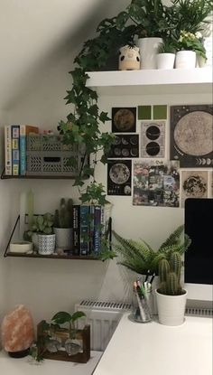 there are many plants and pictures on the wall above the computer desk in this home office