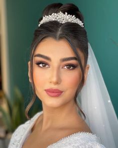 a woman wearing a bridal veil and makeup looks at the camera with an intense look on her face