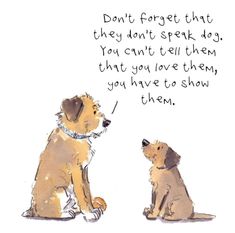 two brown dogs sitting next to each other on top of a white background with words written below