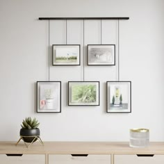 a wall with pictures hanging on it and a potted plant in the foreground