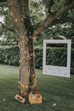 a photo frame hanging from a tree with string lights on it and two wooden boxes tied to the trunk