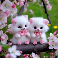 two small white kittens sitting on top of a branch with pink flowers in the background