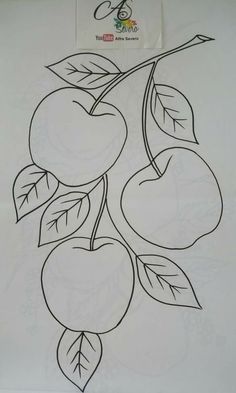 a drawing of three apples hanging from a tree branch