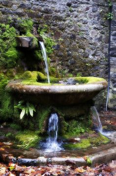 a water fountain with moss growing on the rocks and in front of a stone wall