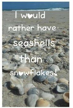 seashells on the beach with a quote about i would rather have sea shells than snowflakes