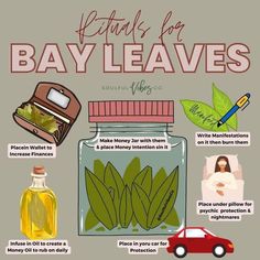 Witch Advice, Burn Bay Leaves, Burning Bay Leaves, Star Angel, Beginner Witch, Wiccan Rituals, Ooga Booga, Magickal Herbs