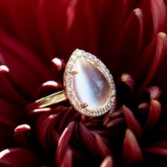 a close up view of a ring on top of a flower with diamonds in the middle