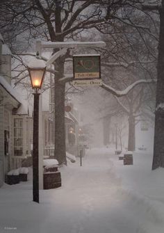 a street light covered in snow next to trees