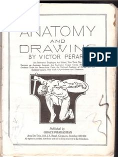 anatomy and drawing by victor peraf, edited in the book'anatomy and drawing '