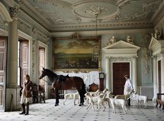 there are many dogs and horses in the room with two people standing next to them