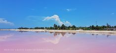 the pink water is reflecting the blue sky and clouds in the distance with trees on either side