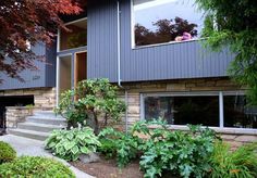 a house that has some plants in the front yard and stairs leading up to it