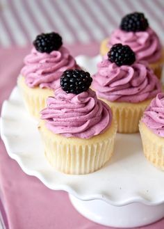 small cupcakes with pink frosting and blackberries on top are sitting on a white plate