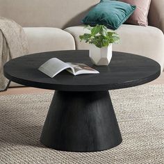 a living room with a couch, coffee table and book on the carpeted floor