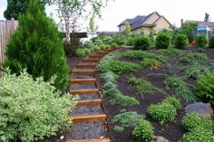 a garden with steps leading up to the house